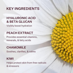 PEACH & LILY Glass Skin Water-Gel Moisturizer