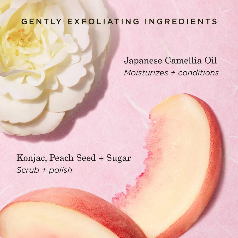 TATCHA The Kissu Lip Scrub Moisturizing Lip Exfoliant