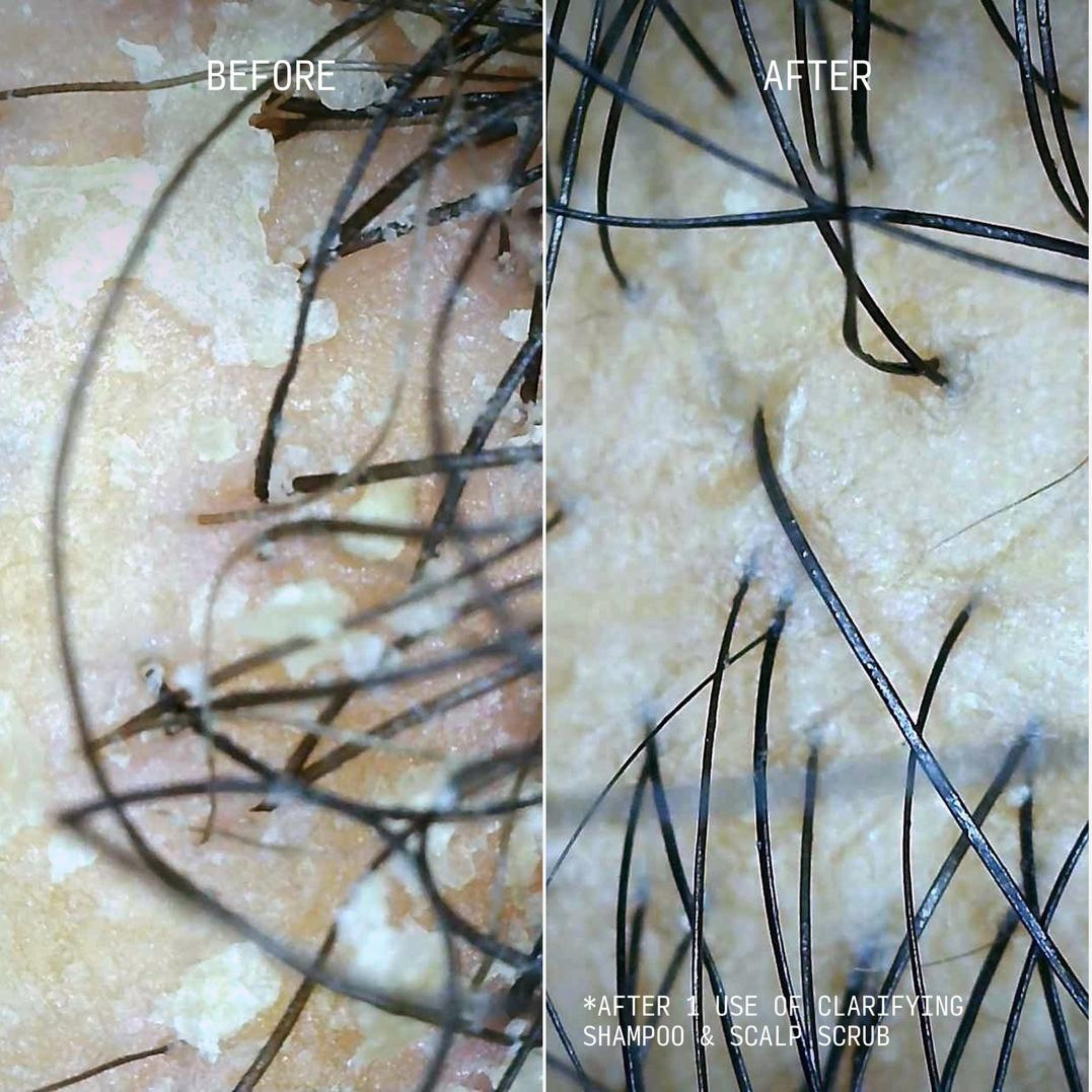 Cecred Clarifying Shampoo & Scalp Scrub