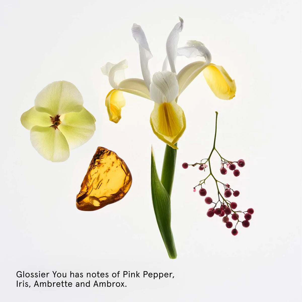 Glossier Deodorant Refillable Case + YOU Refill Set