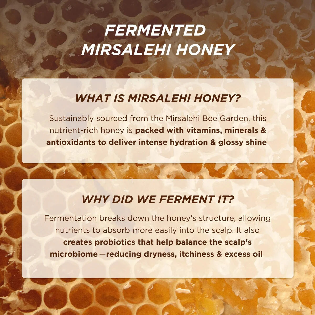 Gisou Honey Gloss Ceramide Therapy Hydrating Conditioner