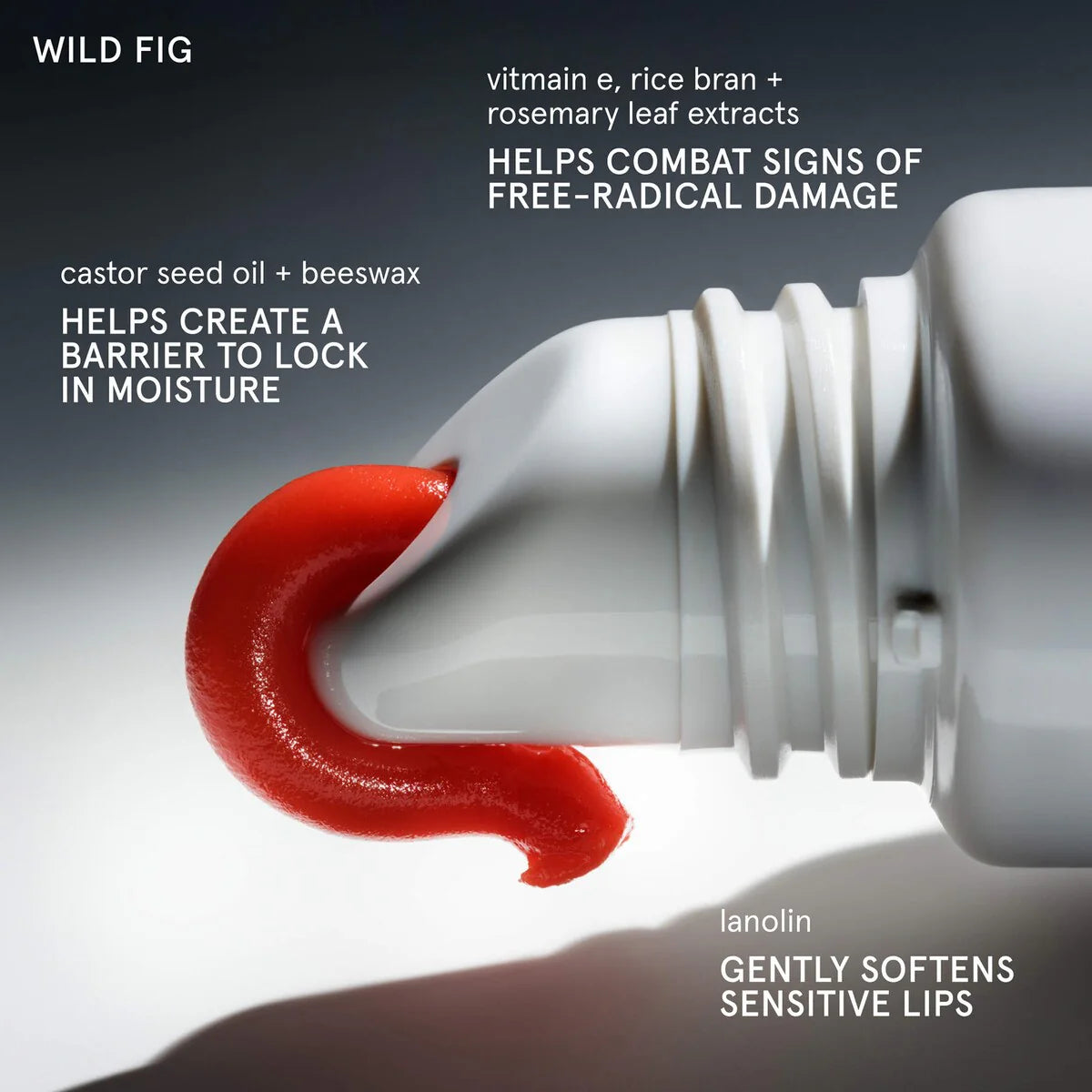 Glossier Balm Dotcom Lip Balm and Skin Salve